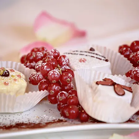 Western Salzgitter Hotel