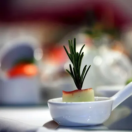 Western Salzgitter Hotel