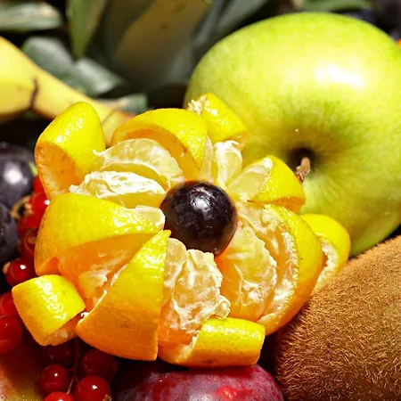 Western Salzgitter Hotel